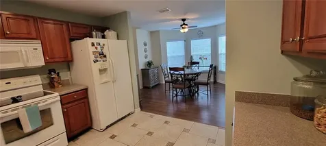 311 Morningview Drive Eustis FL 32726