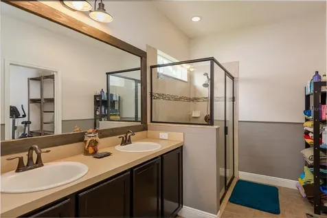 6329 Hawk Grove Court Wesley Chapel FL 33545
