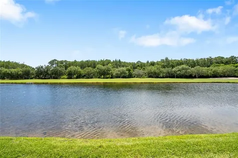 10322 Saville Rowe Lane Tampa FL 33626