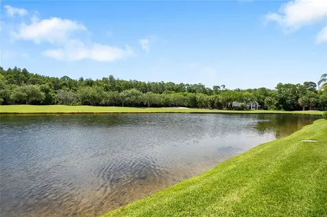 10322 Saville Rowe Lane Tampa FL 33626