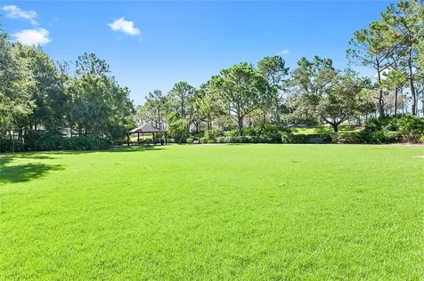 10322 Saville Rowe Lane Tampa FL 33626