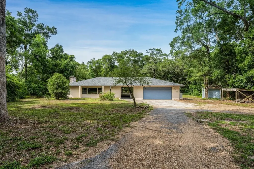 26109 Sackamaxon Drive Sorrento FL 32776