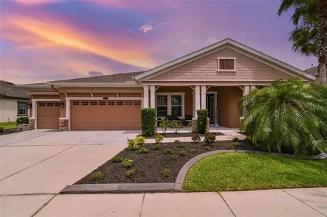 8309 Swiss Chard Circle Land O Lakes FL 34637