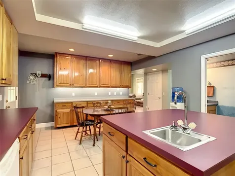 26622 Green Willow Run Wesley Chapel FL 33544