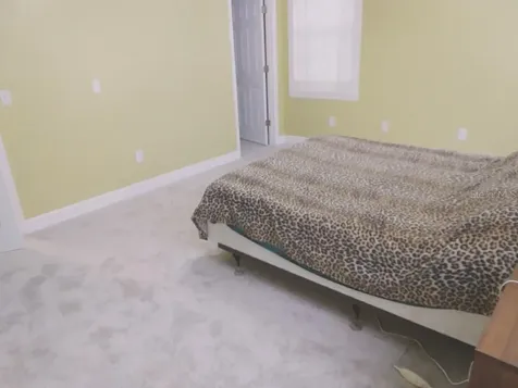 26622 Green Willow Run Wesley Chapel FL 33544