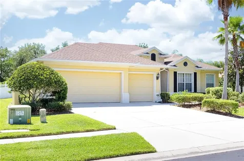 3805 Sorrel Vine Drive Wesley Chapel FL 33544