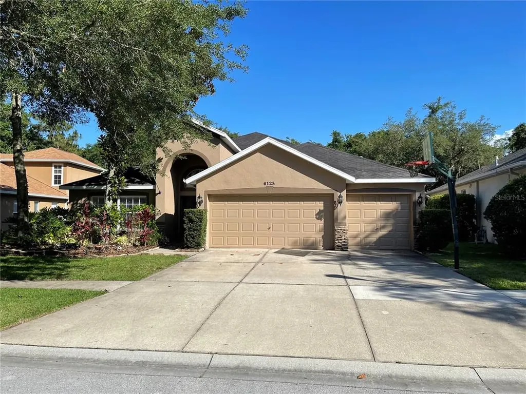 6125 Whimbrelwood Drive Lithia FL 33547