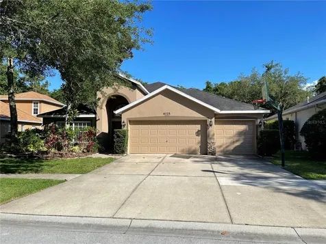 6125 Whimbrelwood Drive Lithia FL 33547