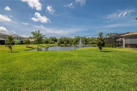 12532 Candleberry Circle Tampa FL 33635