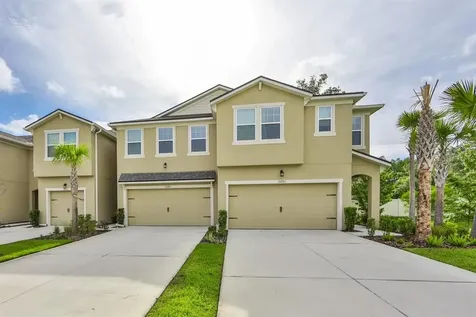 14203 Damselfly Drive Tampa FL 33625