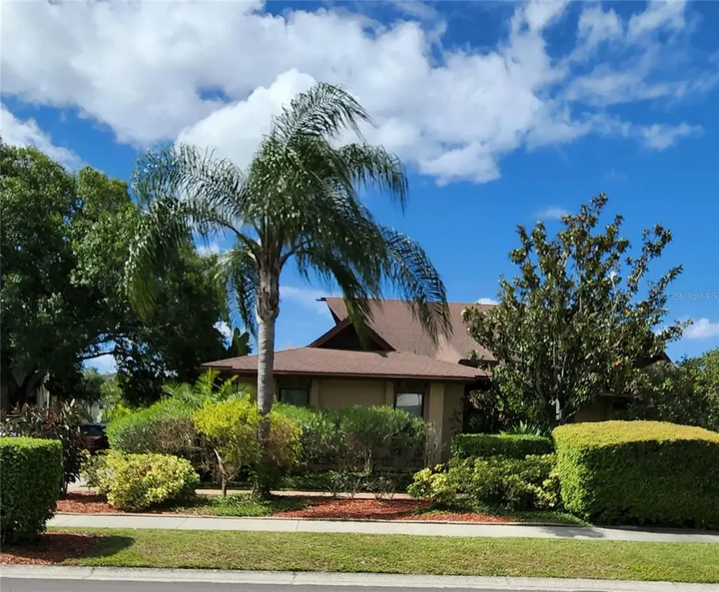 7115 Pelican Island Drive Tampa FL 33634