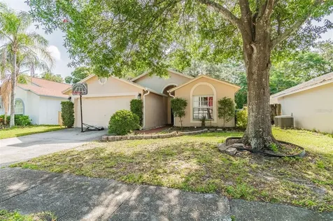 13526 Bellingham Drive Tampa FL 33625