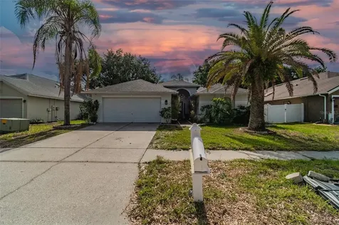 6124 Ashfield Place Wesley Chapel FL 33545