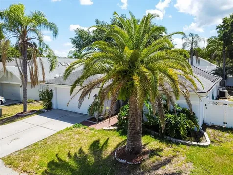 6124 Ashfield Place Wesley Chapel FL 33545