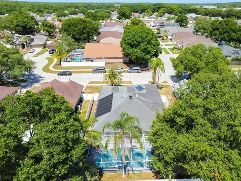 6124 Ashfield Place Wesley Chapel FL 33545
