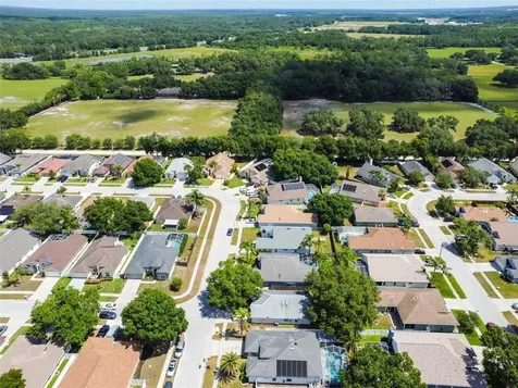 6124 Ashfield Place Wesley Chapel FL 33545