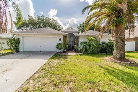 6124 Ashfield Place Wesley Chapel FL 33545