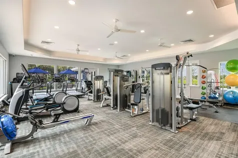 12725 Mangrove Forest Drive Riverview FL 33579
