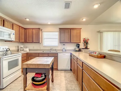 1923 Carrotwood Street The Villages FL 32163