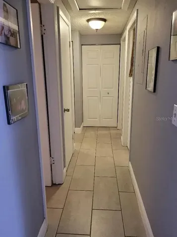 8582 Briar Grove Circle Tampa FL 33615