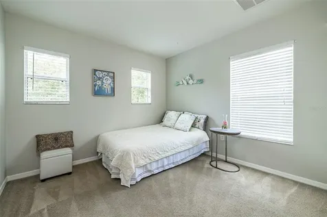 9738 Simeon Drive Land O Lakes FL 34638