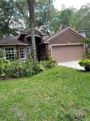 4622 Dunnie Drive Tampa FL 33614