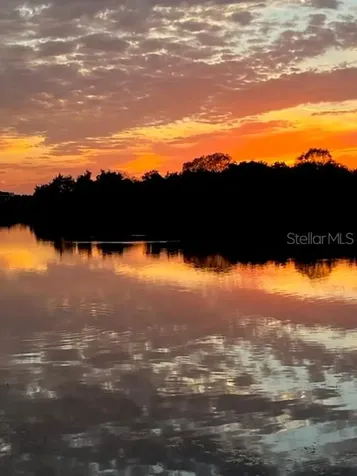 5023 Lake Toscana Drive Wimauma FL 33598