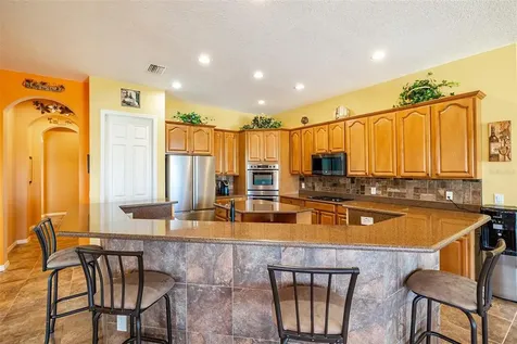 5023 Lake Toscana Drive Wimauma FL 33598