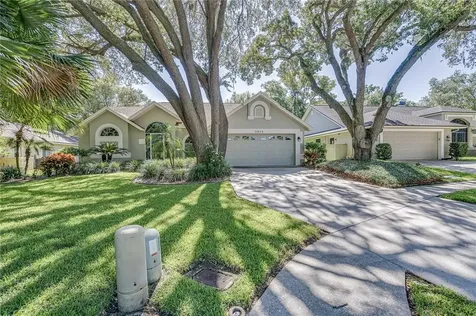 2973 Spring Oak Court Palm Harbor FL 34684