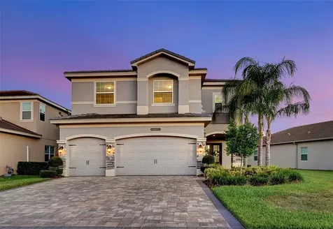 30382 Tristania Court Wesley Chapel FL 33543