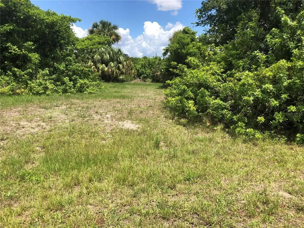 3457 NE 10th Place Cape Coral FL 33909