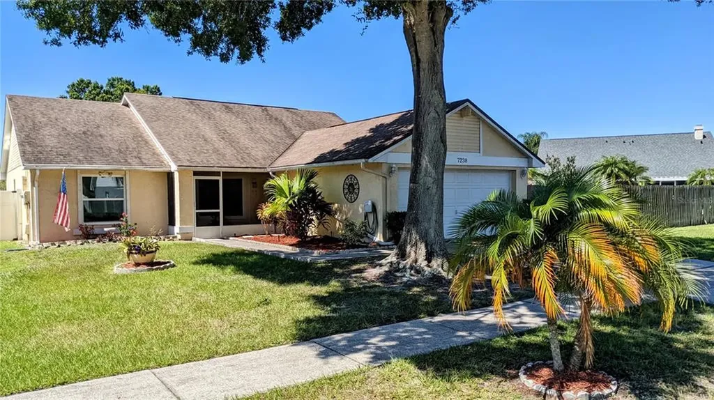 7238 Hollowell Drive Tampa FL 33634