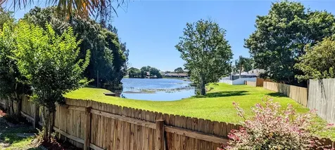 7238 Hollowell Drive Tampa FL 33634