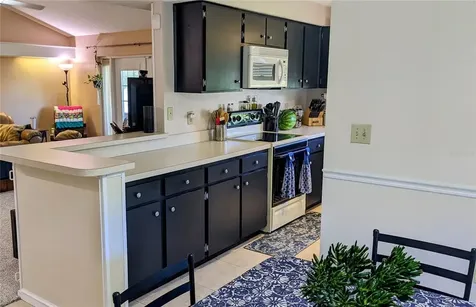 7238 Hollowell Drive Tampa FL 33634