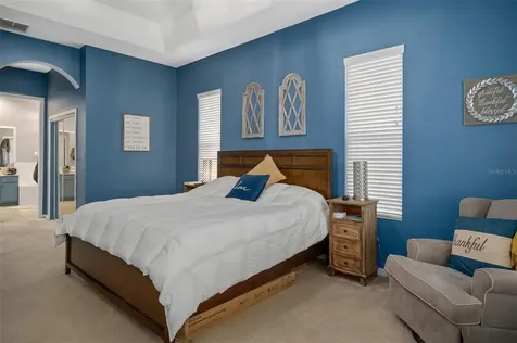 23509 Vistamar Court Land O Lakes FL 34639