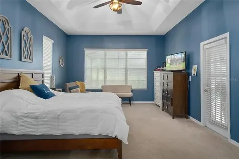 23509 Vistamar Court Land O Lakes FL 34639