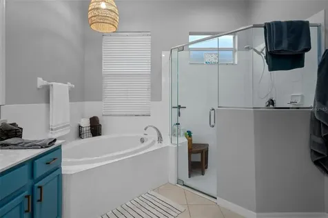 23509 Vistamar Court Land O Lakes FL 34639