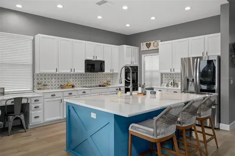 23509 Vistamar Court Land O Lakes FL 34639
