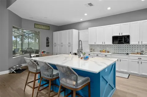 23509 Vistamar Court Land O Lakes FL 34639