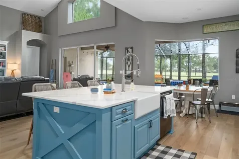 23509 Vistamar Court Land O Lakes FL 34639