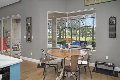 23509 Vistamar Court Land O Lakes FL 34639