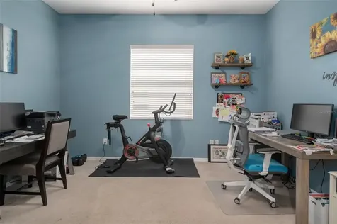 23509 Vistamar Court Land O Lakes FL 34639