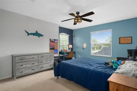 23509 Vistamar Court Land O Lakes FL 34639