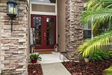 23509 Vistamar Court Land O Lakes FL 34639