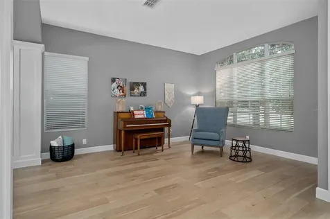 23509 Vistamar Court Land O Lakes FL 34639