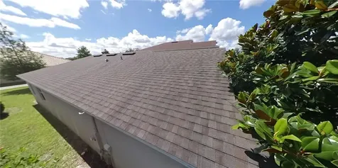 8009 Atlantic Puffin Street Winter Garden FL 34787