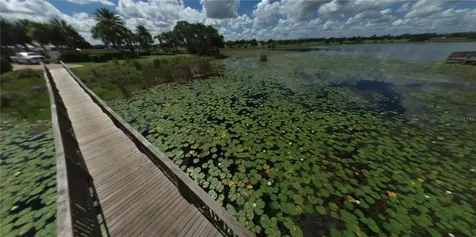 8009 Atlantic Puffin Street Winter Garden FL 34787