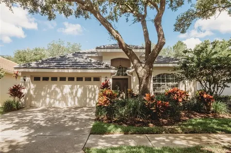 17617 Nathans Drive Tampa FL 33647