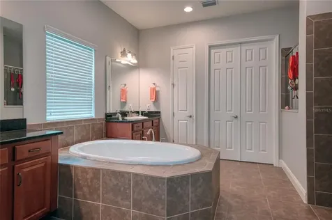8551 Winsome Way Land O Lakes FL 34637