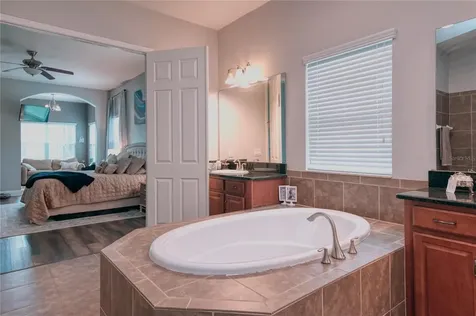 8551 Winsome Way Land O Lakes FL 34637